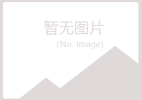 文登山柏咨询有限公司